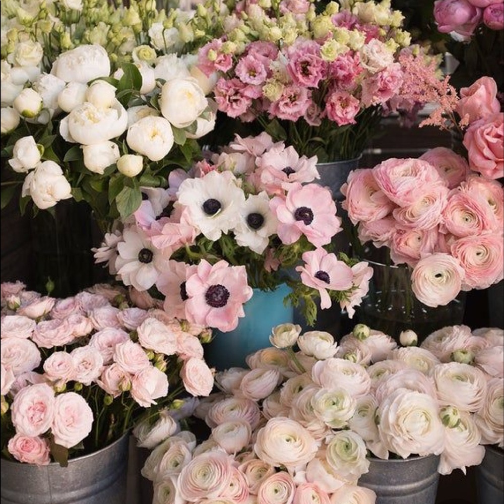 Spring Bundle